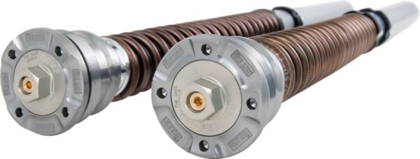 CARTRIDGE DUCATI NIX30 FGK 229 - Image 4