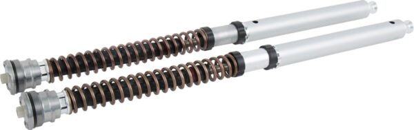 CARTRIDGE DUCATI NIX30 FGK 229 - Image 9