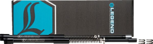 AXEO FORK SPRINGS STANDARD 49M