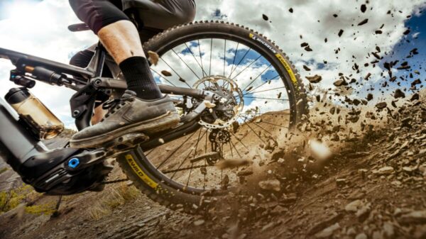 E-WILD RACING 29X2.60 RR - Image 5