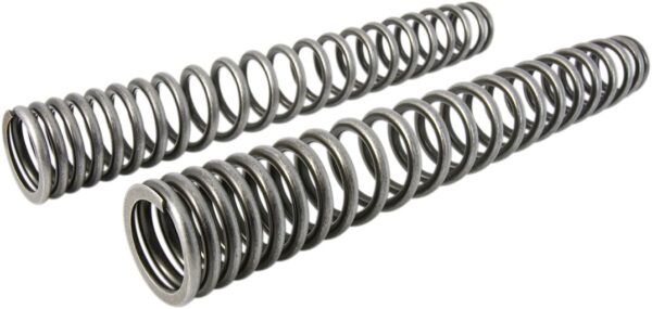 FORK SPRINGS BMW R 1150 GS ADV - Image 4