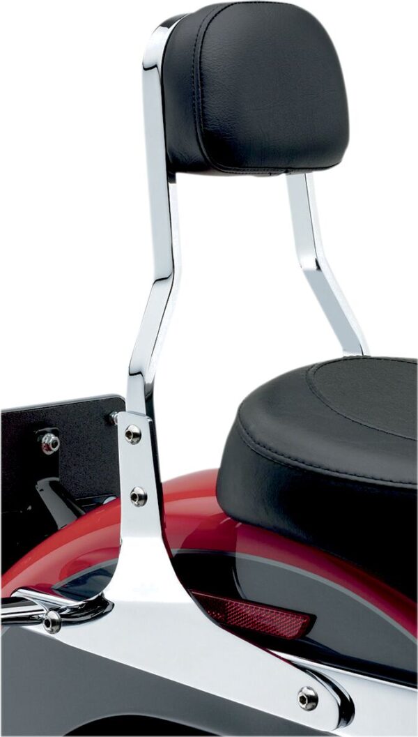 SISSY BAR SQ SHRT FLSTC/N - Image 3
