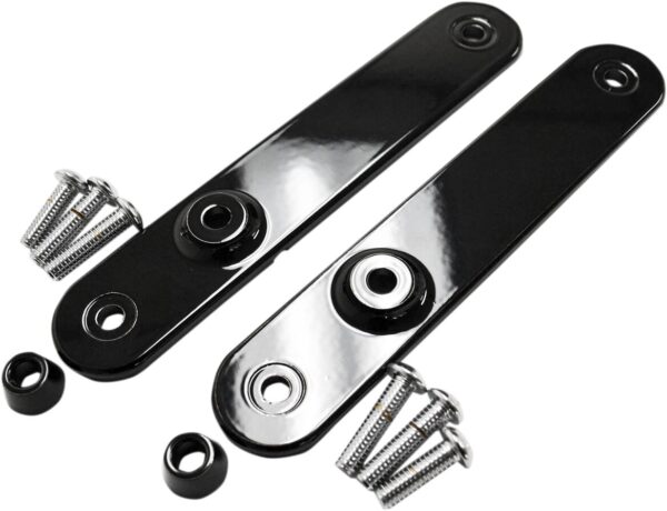 MOUNTS TURN SIGNAL FL BK