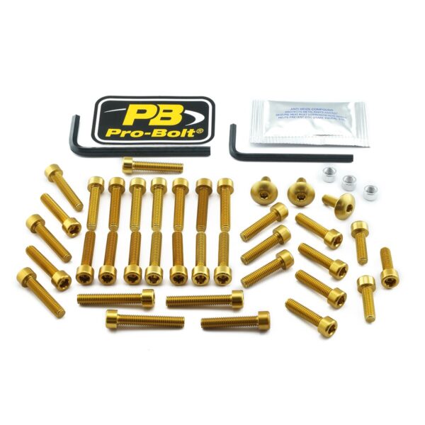 BOLT KT ENGINE SUZ GOLD
