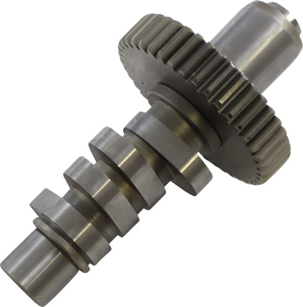 S&S 561 CAM 84-99 EVO