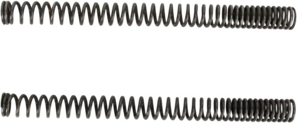 ROESELER FORK SPRINGS
