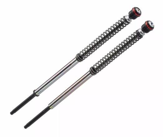 FRT Shocks H-D Dyna sospensioni moto Bitubo